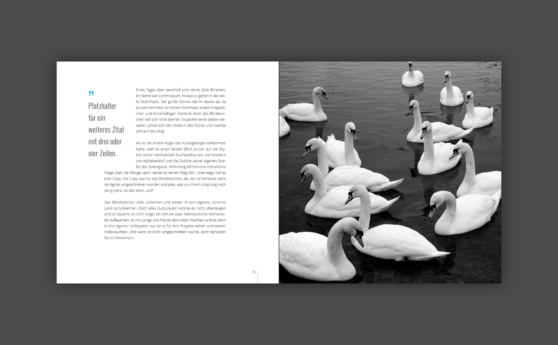 Buch Template: Layout-Beispiel 1, Doppelinnenseite Ansicht 5